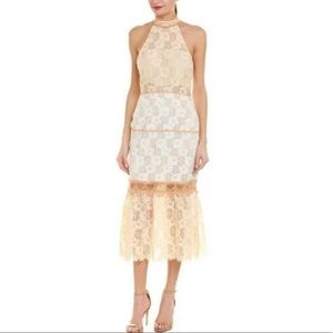 foxiedox Cream and White Lace Halter Midi Dress